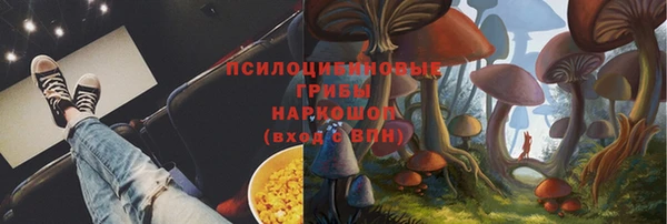 гашик Алексин