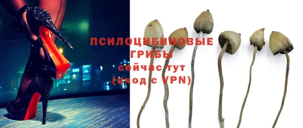 гашик Алексин