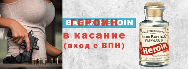 гашик Алексин