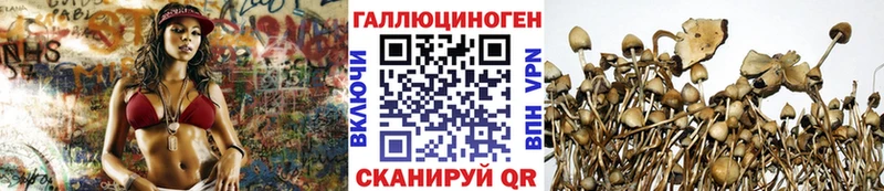 купить   Бодайбо  Галлюциногенные грибы ЛСД 
